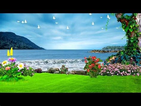 246 Nature Background Youtube free Download - MyWeb