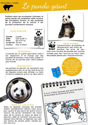 Documentaire Pdf Le Panda Rallye Lecture En Ligne