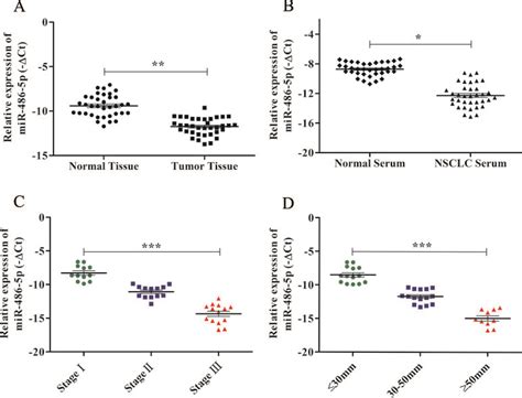 Frontiers Mir P Serves As A Good Biomarker In Nonsmall Cell Lung