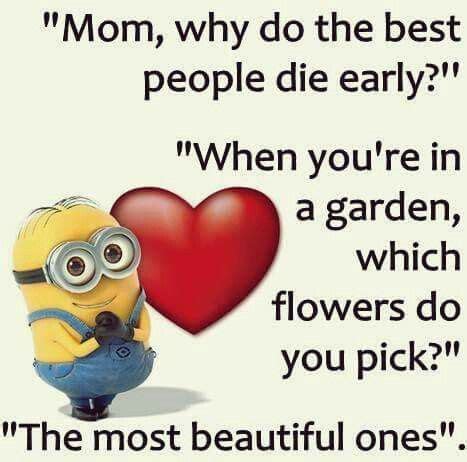 Minion Quotes | Minions quotes, Minion quotes, Funny minion quotes