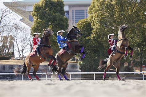 秋らしさ満載！見て、食べて、体験できる！ファミリーやお友達同士で楽しめるイベント盛りだくさん！第3回中京競馬は9月7日土から開催！｜jra