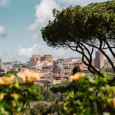 Il Roseto Comunale Di Roma Come E Quando Visitarlo