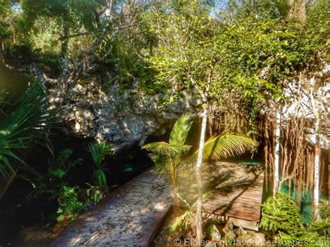 Visit Gran Cenote, Tulum - A Complete Guide [2024]