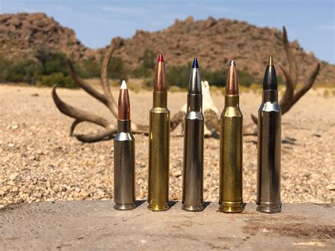 5 of the Best Cartridges for Hunting Western Big Game