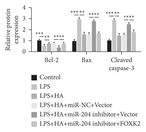 Mir Participates In Ha Alleviating Lps Induced Lung Injury Through