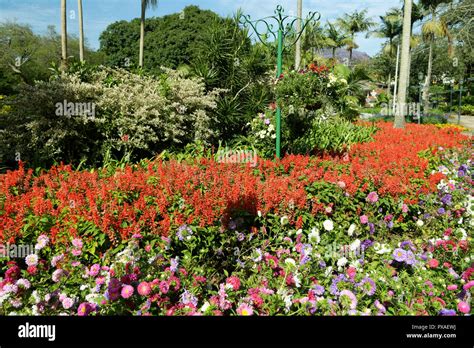 Durban Kwazulu Natal South Africa Stand With Flower Baskets In