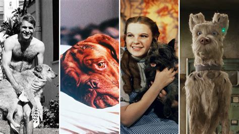 The Best Movie Dogs of All Time - Variety