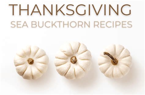 5 Thanksgiving Sea Buckthorn Recipes for Healthy Body & Glowing Skin | Sibu Seaberry