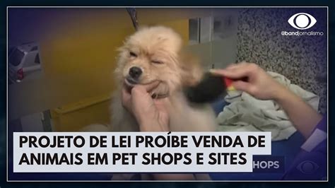 Projeto De Lei Pro Be Venda De Animais Em Pet Shops E Sites Jornal Da