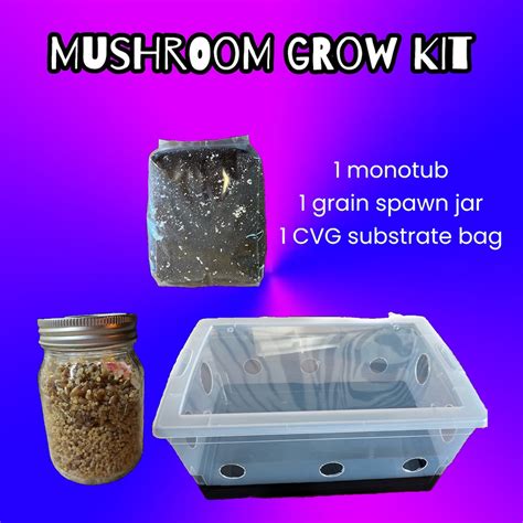 Mushroom Grow Kit - Etsy