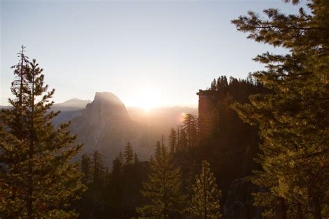 trees and glacier point during sunrise or sunset, glacier point golden ...