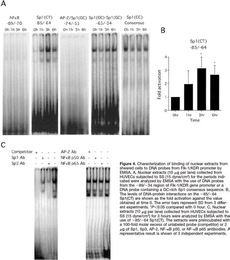 Deletion Analysis Of Flk Kdr Gene Promoter Pgv B A Firefly