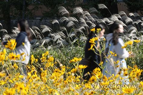 전북 맑고 낮 최고기온 19∼21도미세먼지 보통 연합뉴스