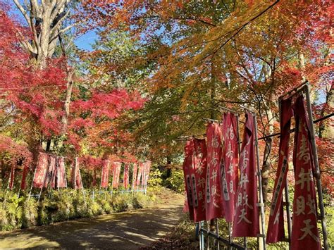 震生湖の紅葉が見ごろ はだの旬だより 秦野市観光協会