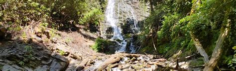 Mingo Falls Trail, North Carolina - 1,854 Reviews, Map | AllTrails