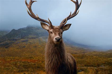 Concept visuals for Glenfiddich’s “Where Next?” campaign