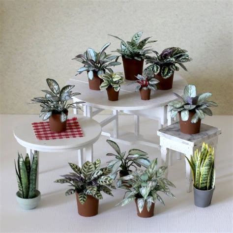 Miniature Houseplants I For Doll House Scale And More Etsy