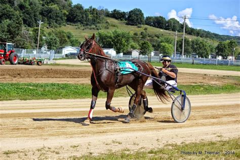 Harness Racing — Richland County Fairgrounds