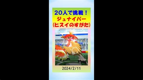 【ヒスイジュナイパー】20人5人色違い2人1人攻略まとめ！ ポケモンgo ゲーム実況 Pokemongo ジュナイパー 攻略