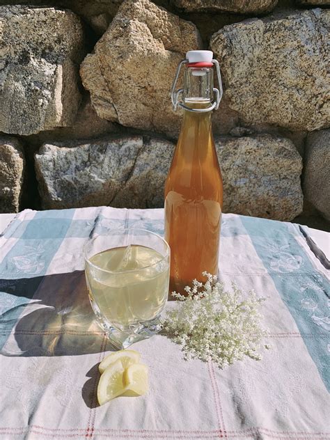 Sirop de sureau recette facile de sirop de sureau à faire chez soi