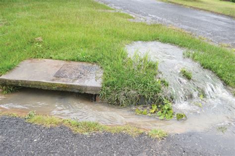 Putrid Sewage Overflows In Rolland Hellet Road Northern Natal News