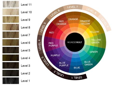 how to use the hair color wheel - the hair colour wheel is a hair ...