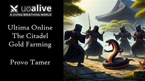 Ultima Online Uoalive The Citadel Gold Farming Provo Tamer Youtube