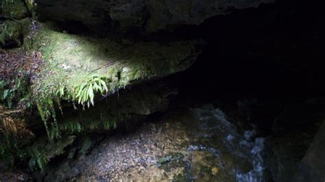 Junee Cave Track