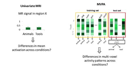 Univariate Vs Multivariate Fmri In Univariate Fmri Left The