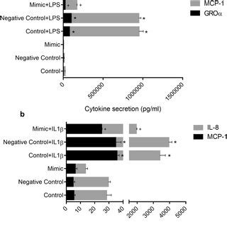 Effect Of MiR 146a Overexpression On Cytokine Production In IEC18 And