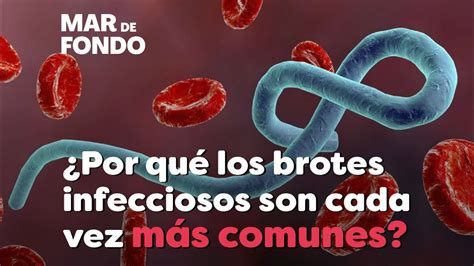 ¿por Qué Los Brotes Infecciosos Son Cada Vez Más Comunes Youtube