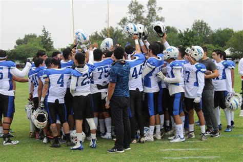 Halcones UV Quiere Recuperar Terreno En Liga Mayor Inercia Deportiva