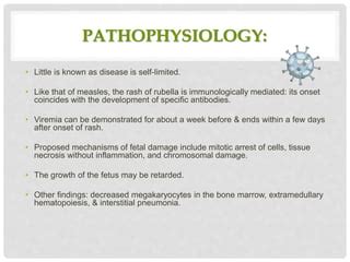 Rubella (german measles) | PPT