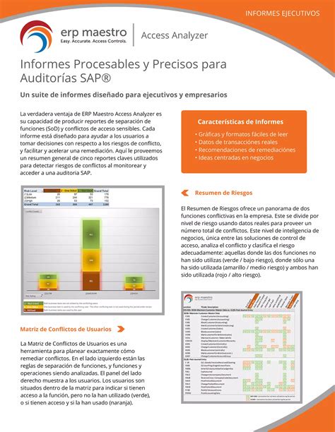 Spanish Executive Reporting Overview Datasheet Final Pdf