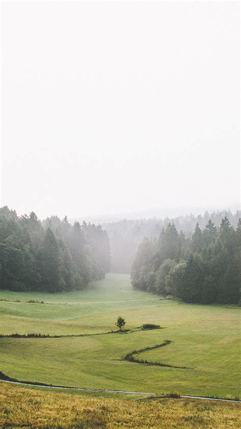 of23-nature-green-fog-wallpaper