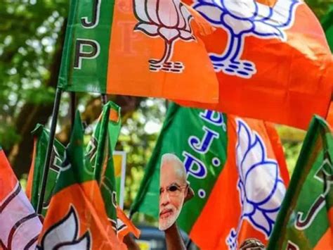 Bjp Appoints Aravind Menon Sudhakar Reddy As In Charges Of Tn