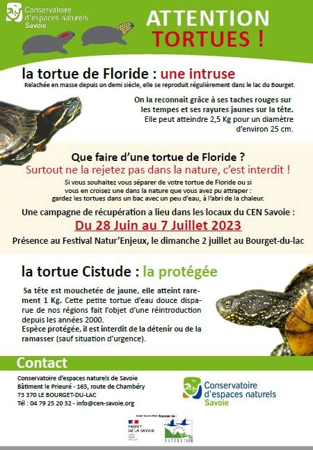 Rapportez Vos Petites Tortues Exotiques Au Conservatoire Des Espaces