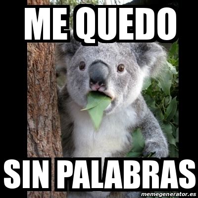 Meme Koala Me Quedo Sin Palabras