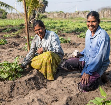 Infraestructura Para La Acción Por El Clima Unops