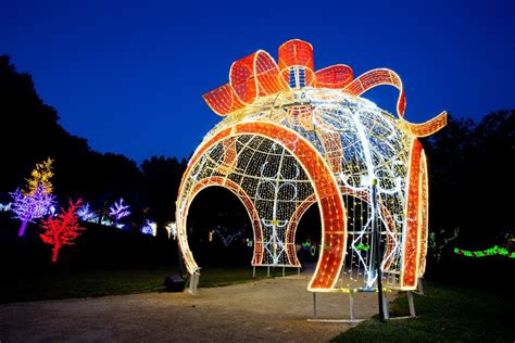 Hunter Valley Christmas Lights Tour Ozia Tours