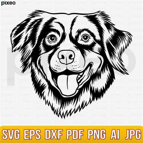 Australian Shepherd Svg Aussie Svg Aussie Clipart Dog Svg Etsy