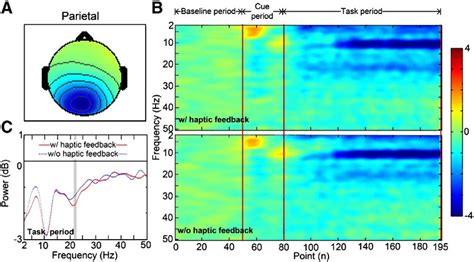 The Mean Scalp Maps Averaged Group Time Frequency Responses And