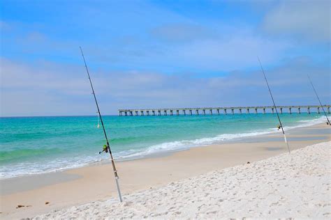 Panama City Beach Fishing: All You Need to Know