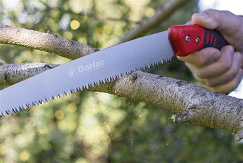 How To Use A Pruning Saw For Trees And Shrubs Atelier Yuwa Ciao Jp