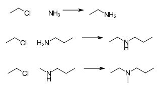 Amine Synthesis Through Reduction Reductive Animation Study