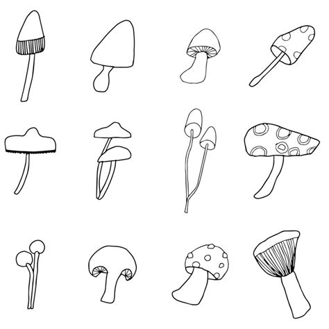 mushroom doodle icon. Vectro illustration. 24130352 Vector Art at Vecteezy