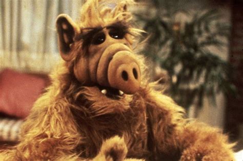 Alf Alf Alien Life Forms Funny Memes