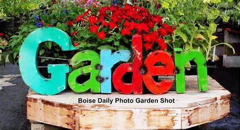 Boise Daily Photo Garden Shot