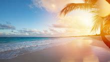 beach  hawaii  stock photo public domain pictures