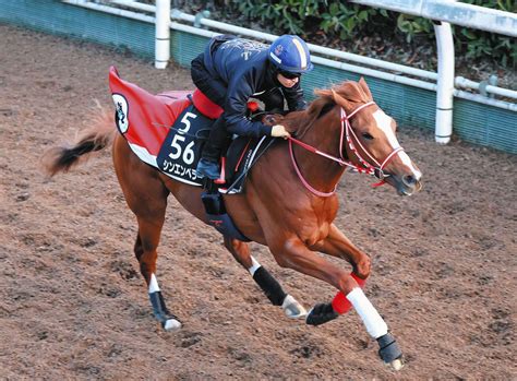 シンエンペラー、最速タイの末脚で迫るも届かず2着 川田「次につながる競馬になった」【弥生賞】